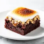 Gooey Smores Brownies - featured image